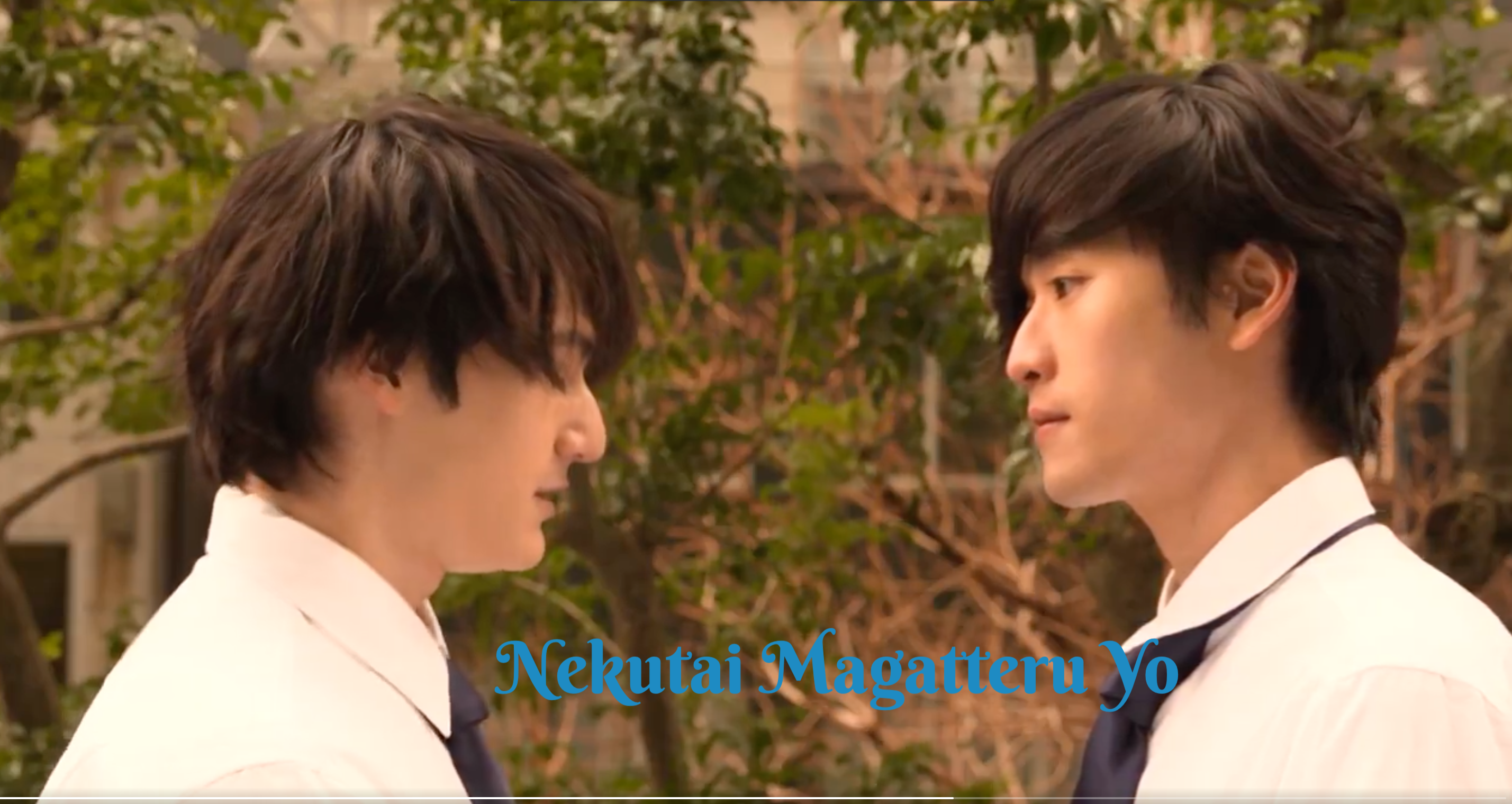 Nekutai Magatteru Yo (Your necktie is crooked) - boyslovefactory.com